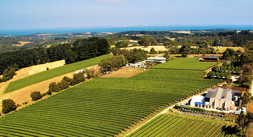 Paringa Estate | Halliday Wine Companion